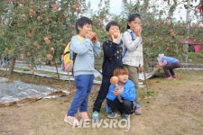 의성군, 메뚜기 잡기 및 사과따기 체험 행사 실시 | 뉴스로
