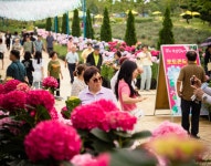 รูปภาพผลการค้นหา Naver 1