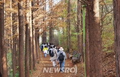 양천 신월점아리따움 | 양천, 어디까지 가봤니? | 뉴스로
