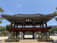 가로화단 4공구 | 안동시, 도심 내 ‘열대풍 가로화단’ 조성으로 여름철 색다른 볼거리 제공 | 뉴스로