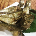 미친물고기 스테이지원 - 서울, 영등포구, 여의도동 | 맛집검색 식신