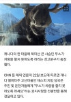 선명사슴농장건강원 | 사슴이 선명하게 현대차를 핥고 있었다.jpgif - 스퀘어 카테고리
