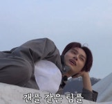 갠플같은 팀플 - 세븐틴(SEVENTEEN) 카테고리