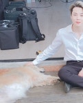 알엠쥐컴퍼니 | 부러운갱얼쥐.. - 방탄소년단 카테고리