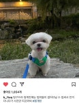 전체 게시판 - 코코별🤍 전체 게시판 - 코코별🤍