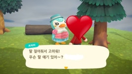 귀여운 쭈니와 크리미 자랑 - 동물의숲 카테고리