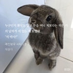 문열어팬시분식 | 전체 게시판 - 문을 열었는데