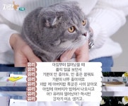 세이프죤 유리헤어 | 더쿠 - 유리가 룔릭이 아들이라고 부르는 이유