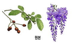 원꾸마스터팩 | 텀블벅 - 크리에이터를 위한 크라우드펀딩 웹툰 보정&식자&편집 끝판왕! 원꾸마스터팩