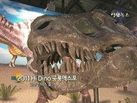 영상뉴스 : 2011 Hi Dino 공룡 엑스포 - MBN