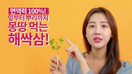 주식회사 황풍정천삼 | 해싹삼.애기삼과 함께하는 3개월 면역력강화 프로젝트 by 주식회사 해발전소