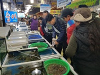 서해어업관리단 불법수산물 유통 근절 캠페인 | 연합뉴스
