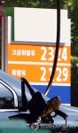 새경안 주유소 | 기름값, 정유사 내려도 주유소 안내려 | 연합뉴스
