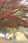 | 연합뉴스