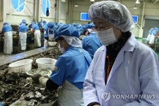굴까기전집 | "굴 안심하고 드세요"...식약처장 굴 까기 현장 찾아 | 연합뉴스