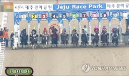 리앤이라마띠네부산경마공원조교사협회구내식당 | 기수는 승부조작, 조교사는 불법마주…비리 각축장 된 경마장 | 연합뉴스