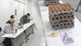 야시대 팜 계란 직판장 | 계란 공판장 '첫 거래'…계란값 고공행진 멈출까 | 연합뉴스