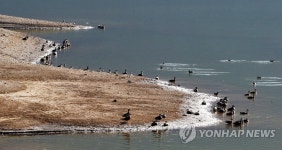 (종합) | 연합뉴스