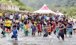 완주 와일드푸드 축제 맨손 고기잡기 체험 | 연합뉴스