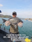 통영 금정호 대물 감성돔 카고 조황! 수요일 자리있습니다^^