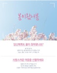 벚꽃 내리는 날 썬캐쳐 :: 1300k 천삼백케이 벚꽃 내리는 날 썬캐쳐