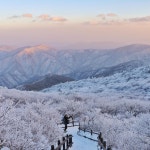 나도 스마트폰 사진작가 - 촬영부터 보정까지 | 강좌 상세 | 현대백화점