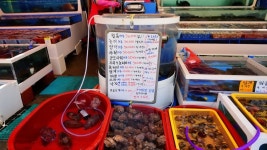 태안 가볼만한곳 진산리 갯벌체험장, 몽산포해수욕장. 몽산포항 수산시장-태안 여행 코스