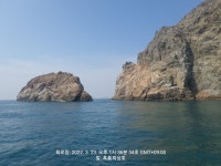 소지도/국도)참돔 /부시리마리수(내일도 출동합니다)