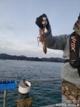 삼천포 쭈꾸미 낚시 금일 조황 씨알좋은 쭈꾸미에 갑오징어까지 담주 문어도 출조