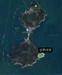 처음간 비진도 뱅에돔 있네요..