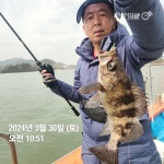 꼬끼아리 주식회사 1동 | 낮볼락 미끼 뱅아리 많이!!