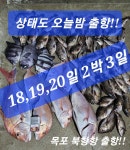 상태도 오늘밤 출항합니다. 2박 3일 일정으로 ...