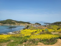 주말출조ㅡ청산도.대모도