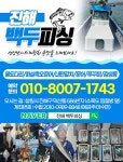 백두피싱호 | 진해 백두피싱 수요일 내만갈치 4분모십니다