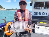 추석연휴ㅡ청산.대모도조황