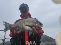 주말ㅡ청산도.대모도조황