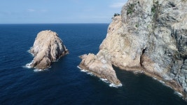 국도) 일욜 새벽/오후5시(밤볼) 국도,소지도 정상출조합니다.