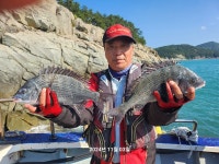 일요일 대모도.청산도 조황 입니다