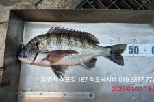47짜리 했습니다.