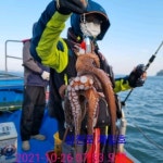 삼천포 제일호 돌문어 씨알급 조황!!