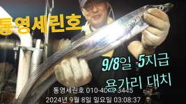 통영세린호 9월8일 대갈치 4지~5지급들 멋지 왕갈치들