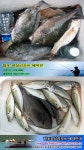 해상콘도와 좌대 낚시 이렇게 한다 (가족낚시)