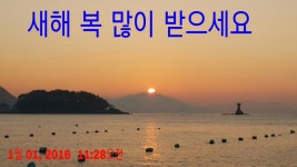 흘3리(상) | *(감성돔) 놈~들이 빱니다 실시간 흘~림소식*
