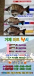 536포병대대(일출마트1호점) | 외포소식입니다.
