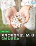 목포자동차운전전문학원유 | 한쪽매거진 | (주) 유-미디어 목포의 모든 생활서비스