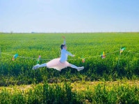 석정수새만금 | 진봉새만금보리밭축제 | 지역축제 | 대한민국 구석구석 축제