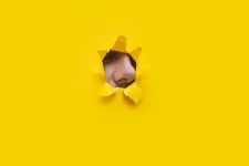 알츠하이머 Archives - 221 중 61 번째 페이지 - 코메디닷컴