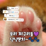 DJ 찌질한 고양이😼ᵐᵉᵒʷ의 스푼 CAST - 1013)찌디의 음악다방 20231013 | 스푼 Spoon