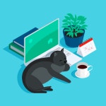 Cooper Companies Inc (COO) 주식 포럼 - Investing.com