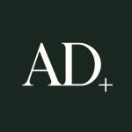 Analog + Digital(@analog.digital.co) • Instagram 사진 및 동영상